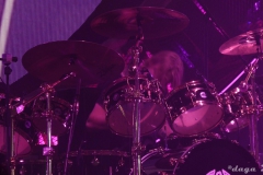 queen adam lambert poland krakow-2015--002