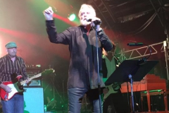 Roger Taylor at Wintershall concert, 2nd July 2016