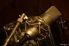 Queen Studio Experience --018