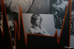 Queen Roger Taylor 2011 London Exhibition --020